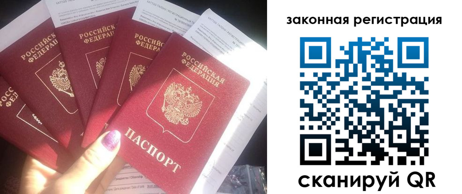 временная регистрация гарантия в Новом Осколе